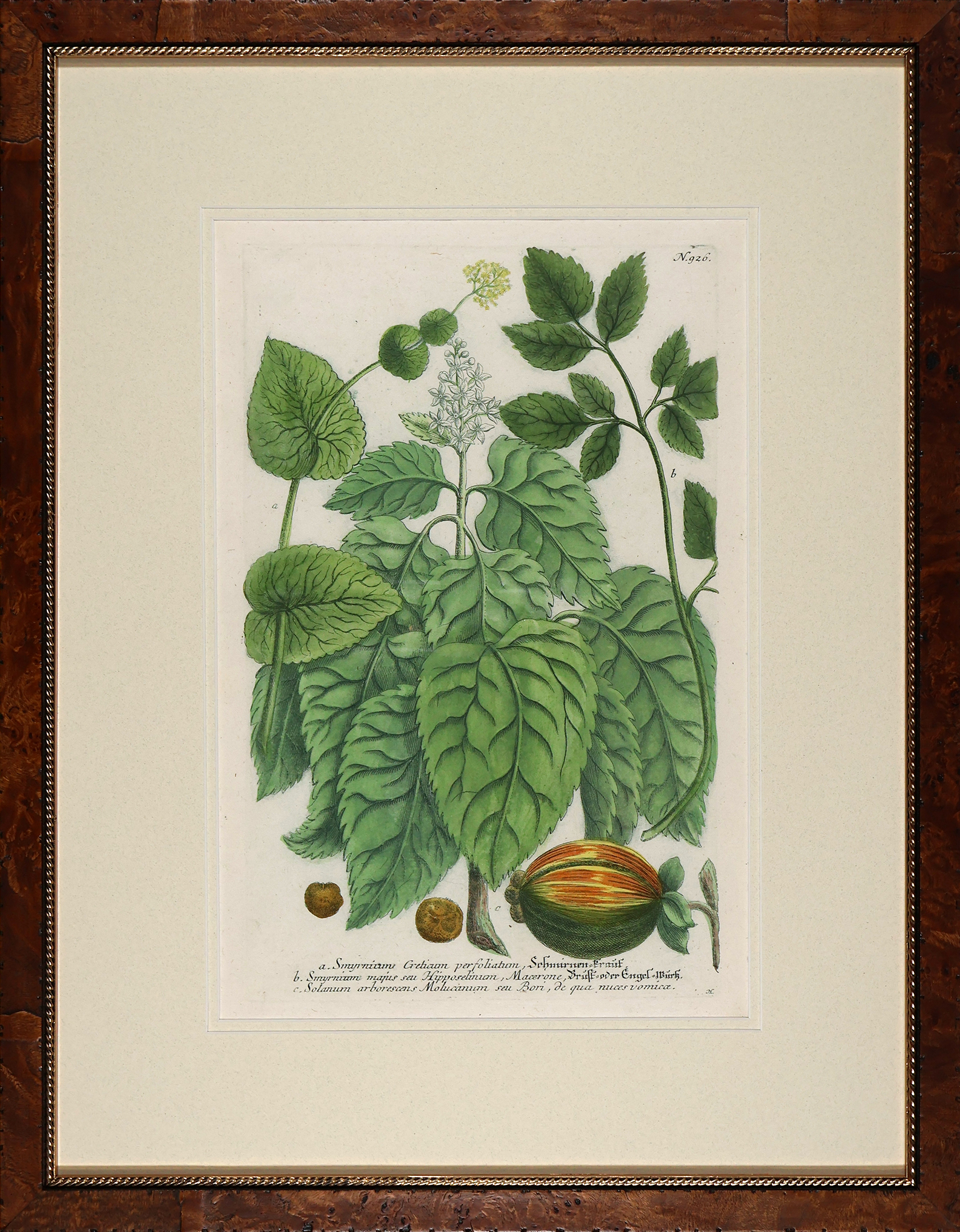 Weinmann Burl with Gold DM